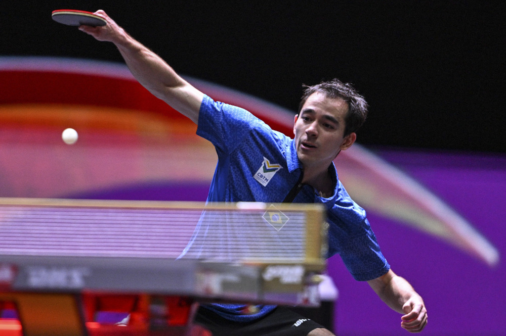 看台上以区 看台上以区