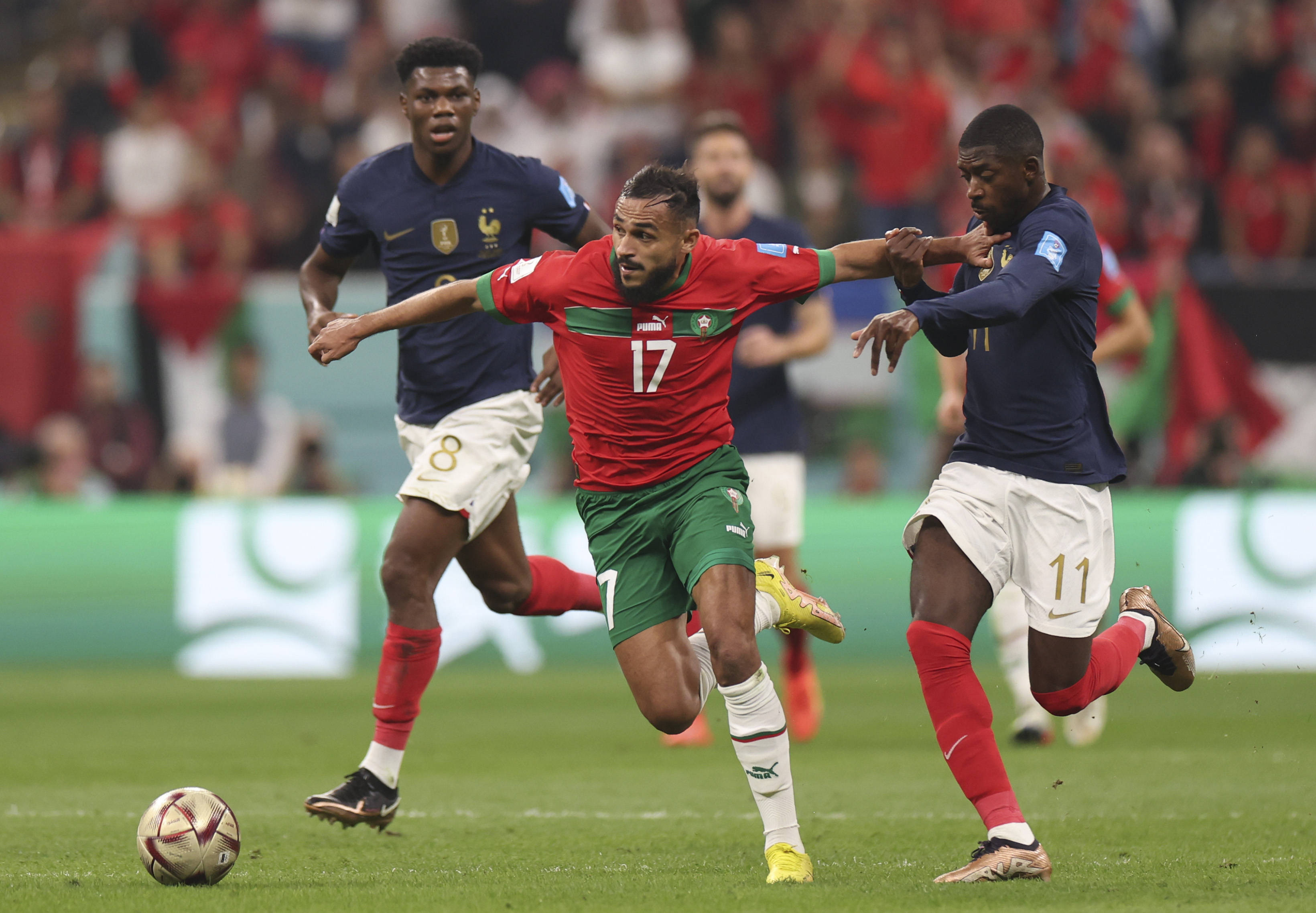 行业禁赛形 行业禁赛形